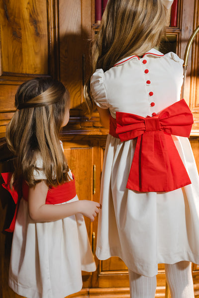 Snow Velvet Dress