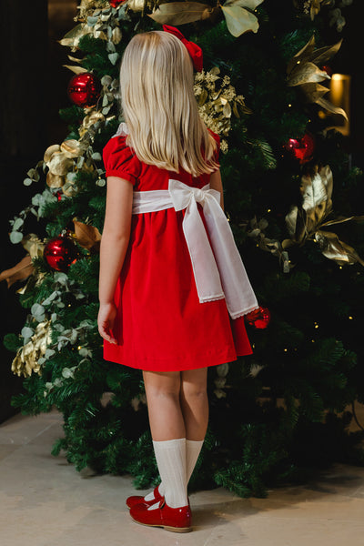 Red Velvet Dress