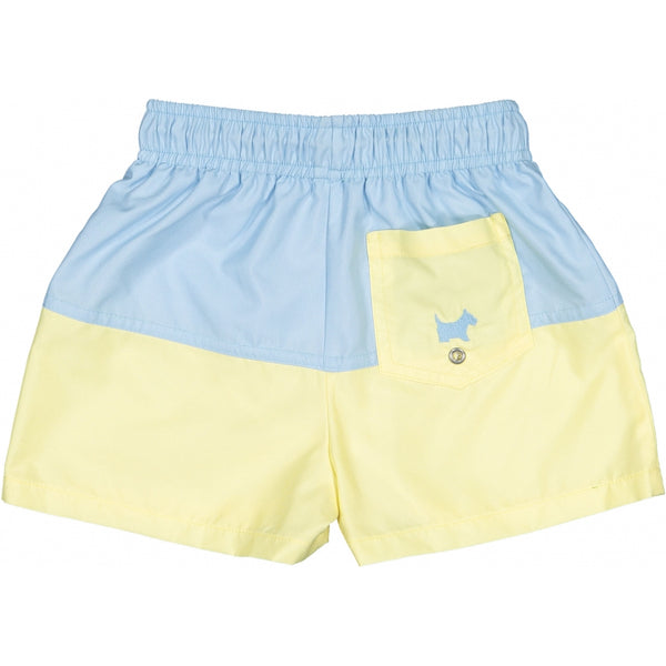 Blue and Yellow Boys Trunk